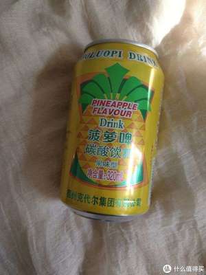 美味嘉年華 篇十五 開(kāi)車(chē)聚會(huì)也能暢飲，健康無(wú)負(fù)擔(dān)的菠蘿小飲料