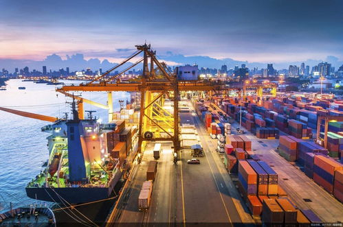 東南亞電商掘金指南 Lazada與Shopee選品策略與國營貿易貨物進出口管理